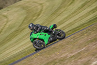 Lower Group Green Bikes